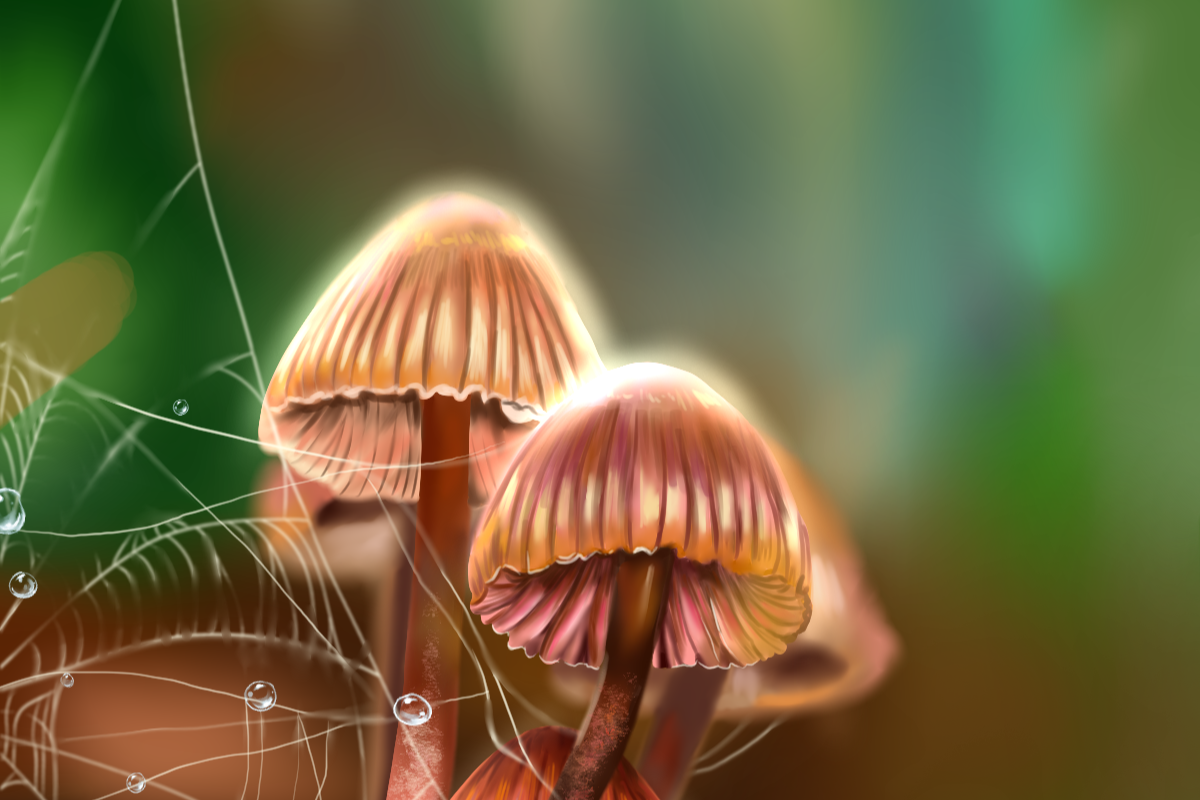 Mushroom Escape