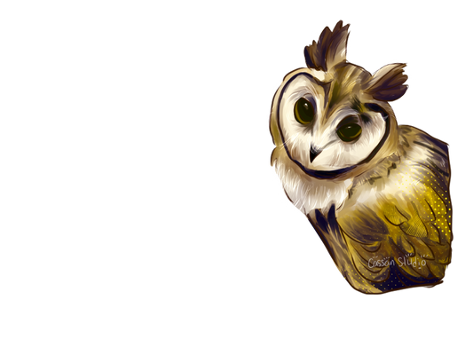Cute Owl (Sticker)