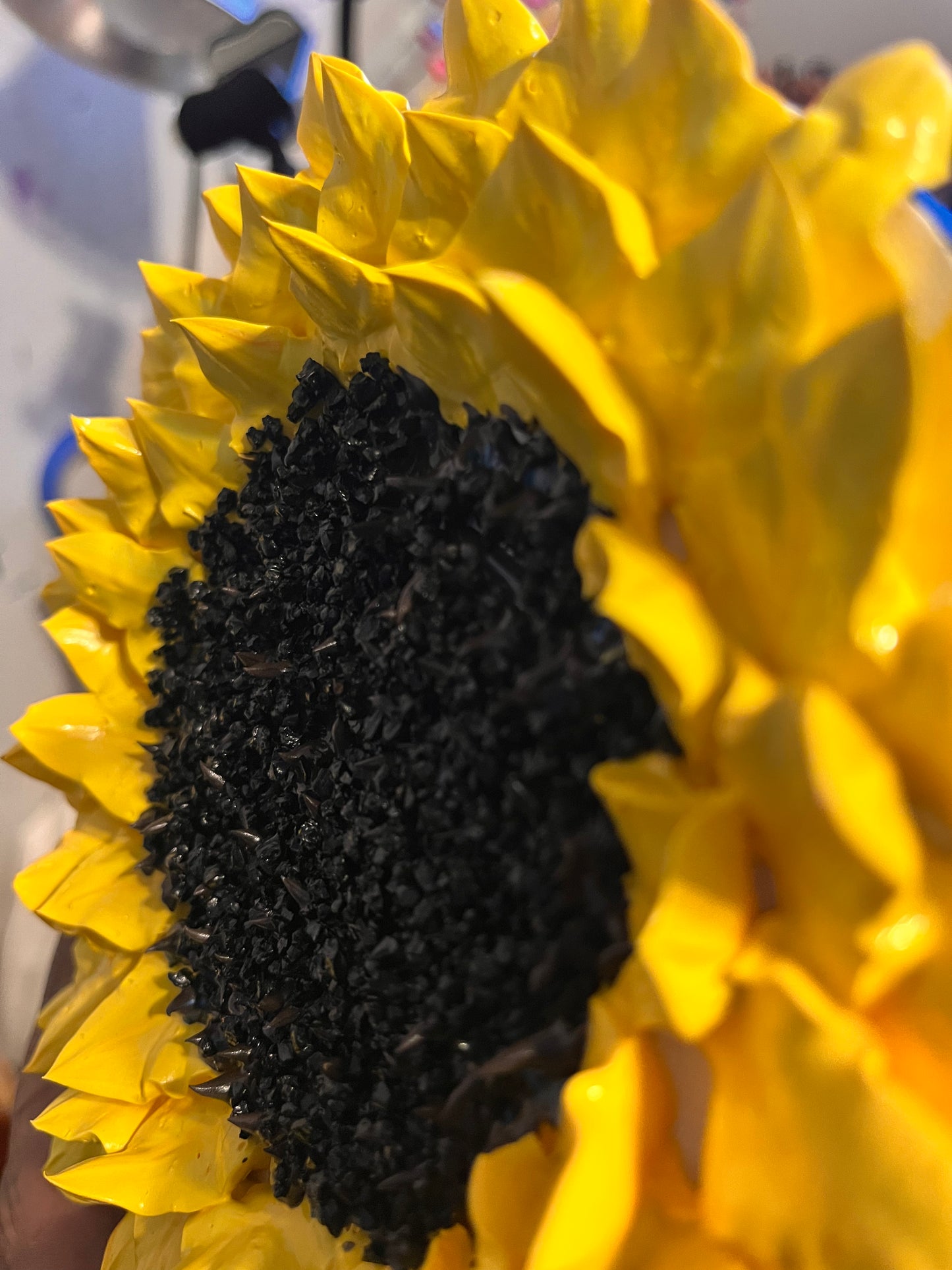 Sunflower Love
